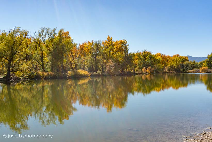 Colorful fall trees with reflections in water
