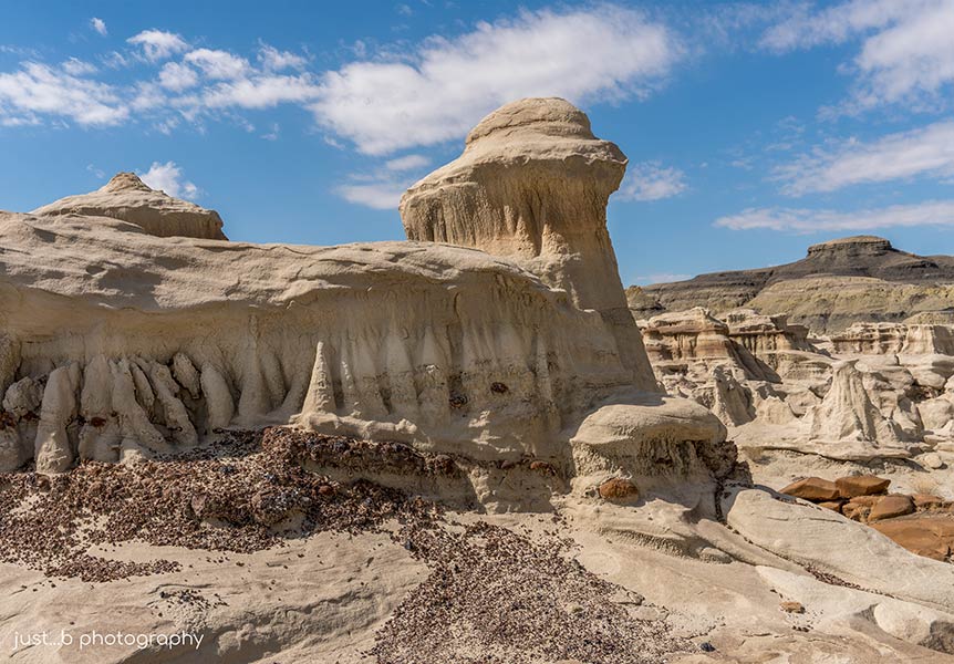 Unusual rock formations within Bisti/De-Na-Zin Wilderness Area.