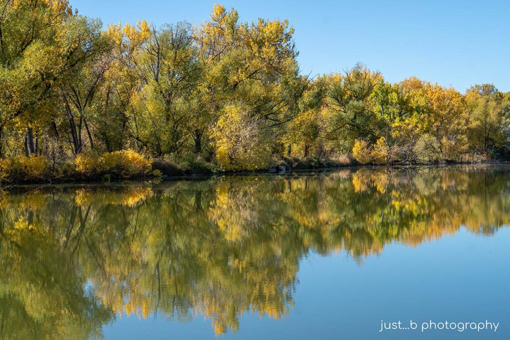 Colorful fall trees with reflections in still pond.