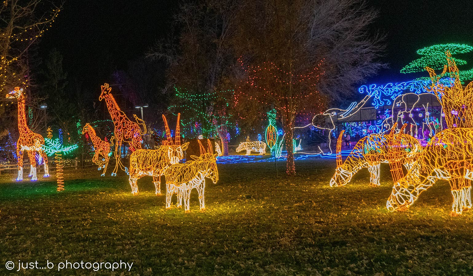 Petit Roulet「 City Lights 」 Petit Roulet「 City Lights 」 Turn Signals - Mini Bullet - Shorty