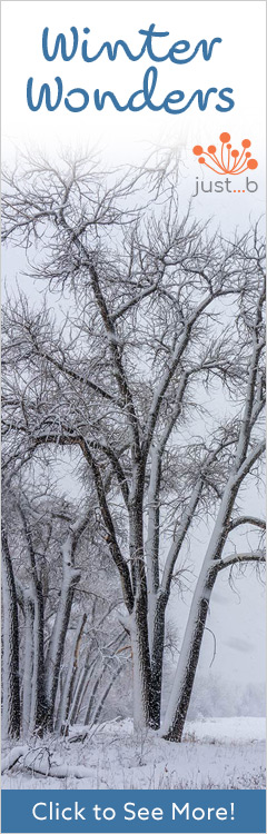 Winder wonders gallery vertical banner.