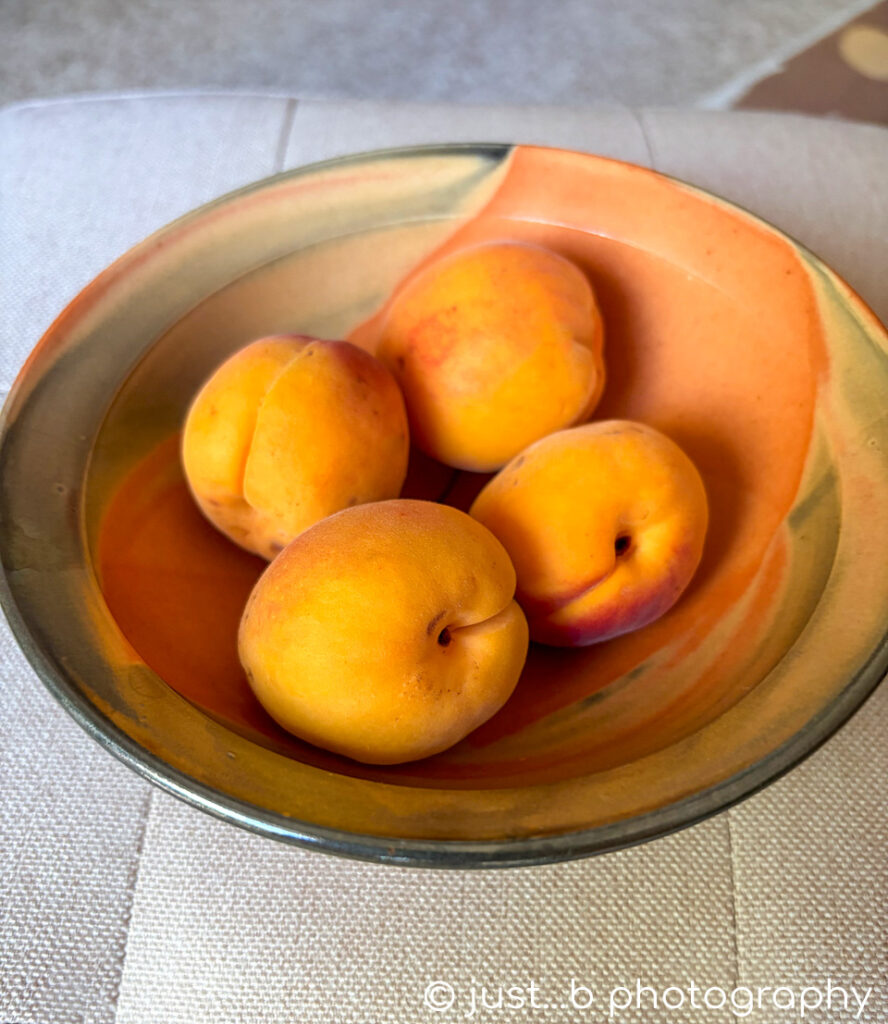 Bowl of freshly picked ripe apricots.