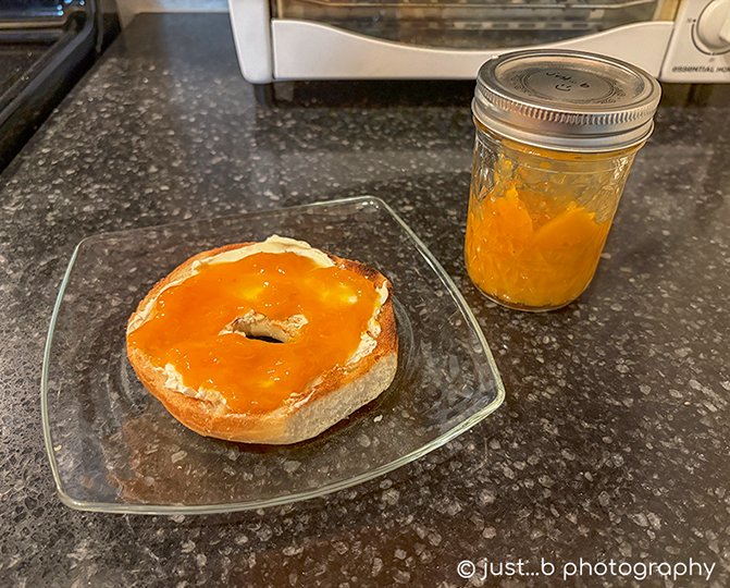 Bagel topped with cream cheese and homemade apricot jam