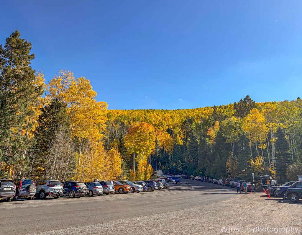 Aspen Vista trail-head is lined with cars.
