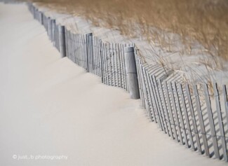 Weathered wooden fence along the sand dunes and grasses.