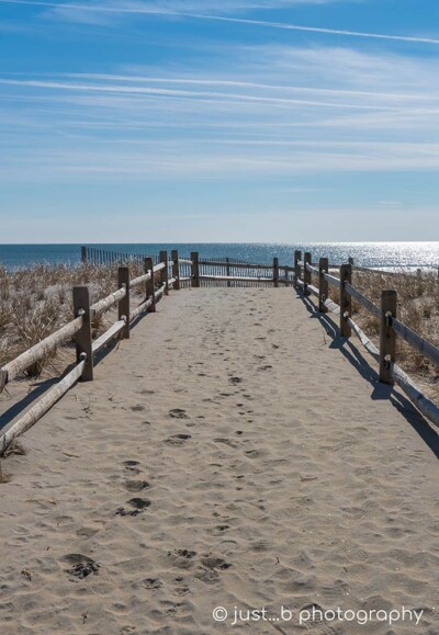 Sandy path leading to coastal shoreline.