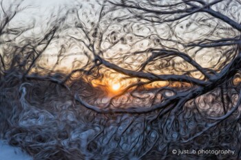 Winter sunrise through trees with specialized filters applied for unique effects.