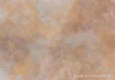 Soft grays and browns abstract texture background.