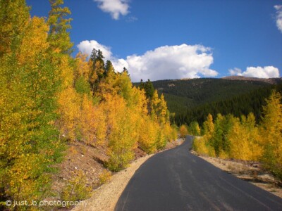 Mineral Belt Trail at 10000 feet with colorful fall Aspen trees - Leadville, CO.