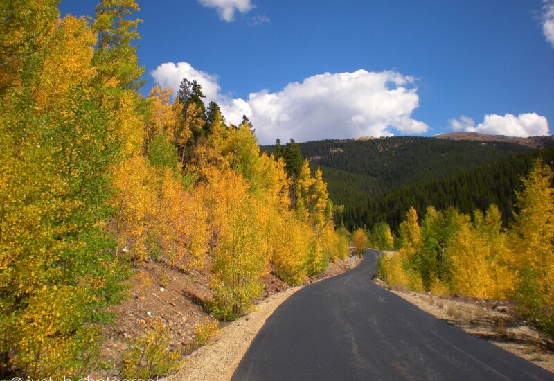 Mineral Belt Trail at 10000 feet with colorful fall Aspen trees - Leadville, CO.