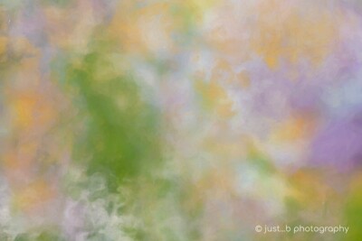 Pastel garden colors abstract background texture.