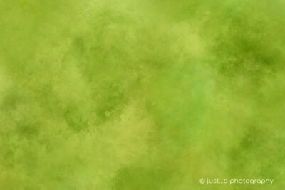 Shades of greens background texture.