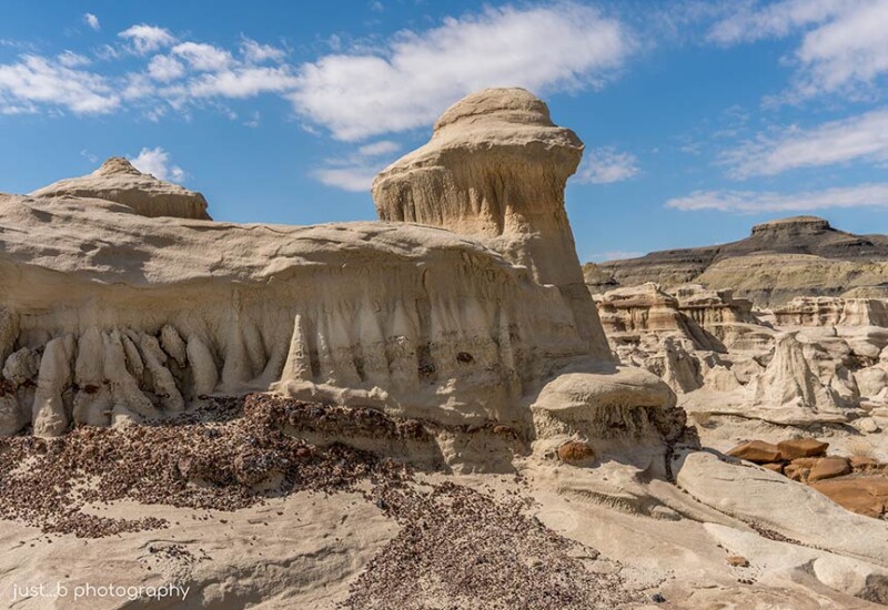 Unusual rock formations within Bisti/De-Na-Zin Wilderness Area.