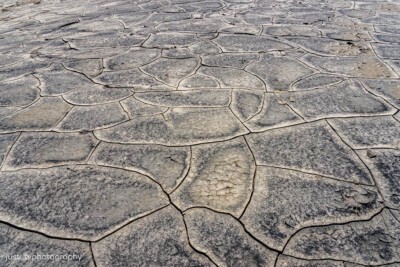 Mosaic-like pattern from mud cracks.