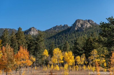 The colors of fall in Colorado at Golden Gate Canyon State Park.