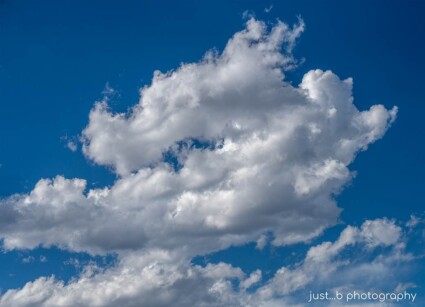 White fluffy clouds agains a bright blue sky in fall.
