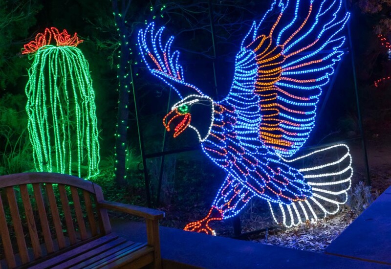 ABQ Botanic Gardens River of Lights 2024 - plants and animals of the desert Eagle and cactus creation.