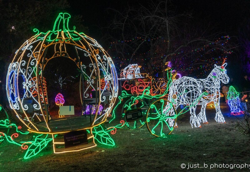 ABQ Botanic Gardens River of Lights 2024 - fantasy carriage Horse with lighted pumpkin carriage.