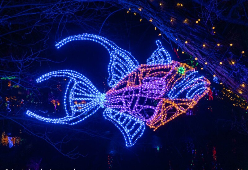 ABQ Botanic Gardens River of Lights 2024 - exotic fish Ornate fish lights.
