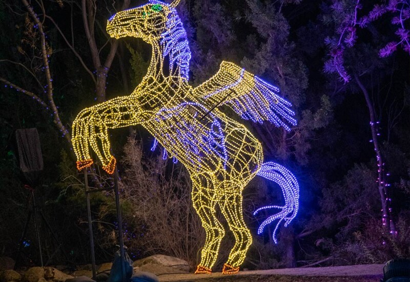 ABQ Botanic Gardens River of Lights 2024 - flying horse Lighted horse with wings