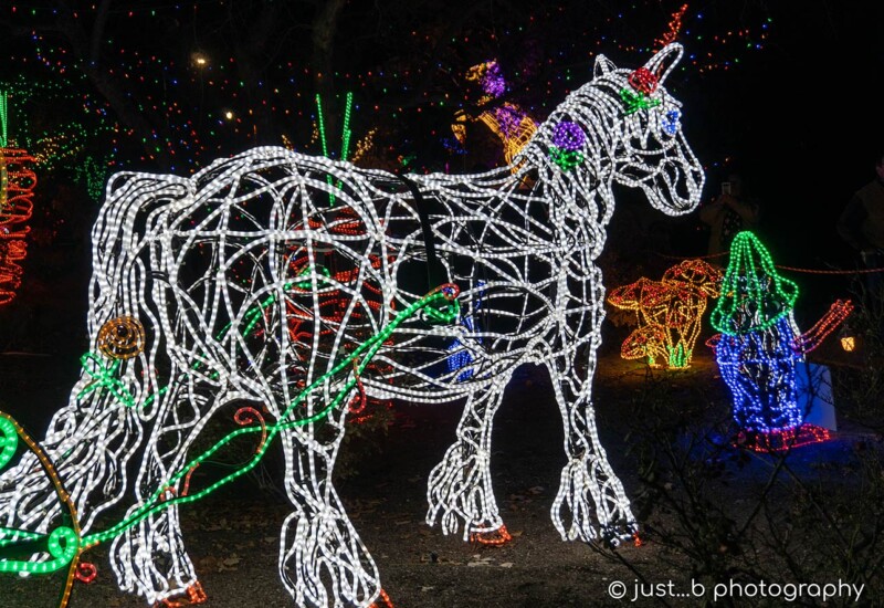 ABQ Botanic Gardens River of Lights 2024 - Horse with gnome Horse with gnome lights