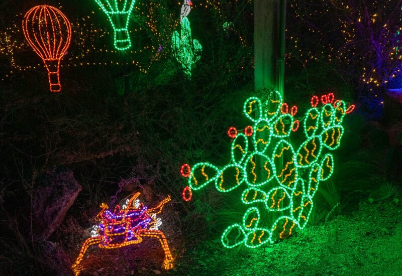 ABQ Botanic Gardens River of Lights 2024 - Prickly pear cactus and gecko Lighted prickly pear cactus display.