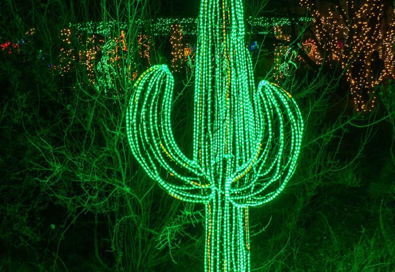 ABQ Botanic Gardens River of Lights 2024 - Owl perched a top a saguaro cactus plant Saguaro cactus with owl atop.