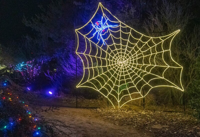 ABQ Botanic Gardens River of Lights 2024 - black widow on spider web ABQ Botanic Gardens black widow on spider web display