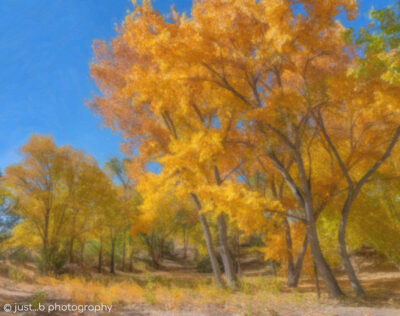 Colorful Cottonwood trees in fall with watercolor effect.